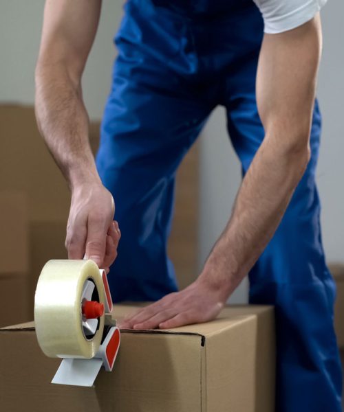 servicio-de-embalaje-profesional